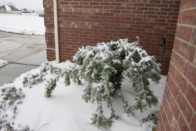 Peter Free's DxO ViewPoint review showing photo of tilting walls.